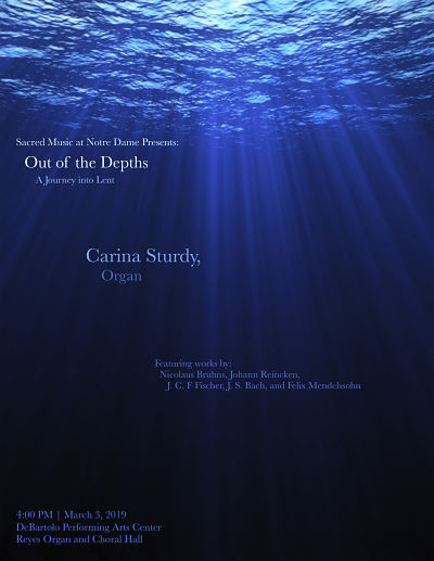 Carina Sturdy Poster For Website